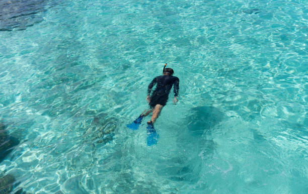 istock man snorkeling in tropical water 683475434