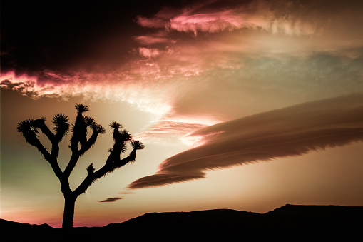 An interesting cloudscape forms over Joshua Tree National Park.