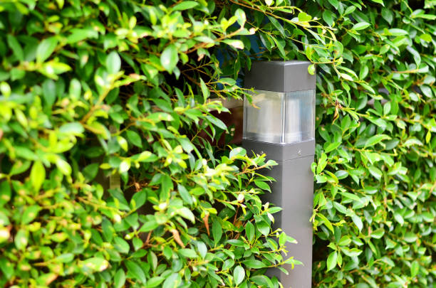 istock Solar garden lights are charged during the day 683475488