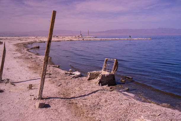 krzesło morskie salton - salton sea zdjęcia i obrazy z banku zdjęć