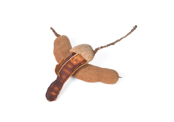 istock Sweet tamarind on a white background 683489348