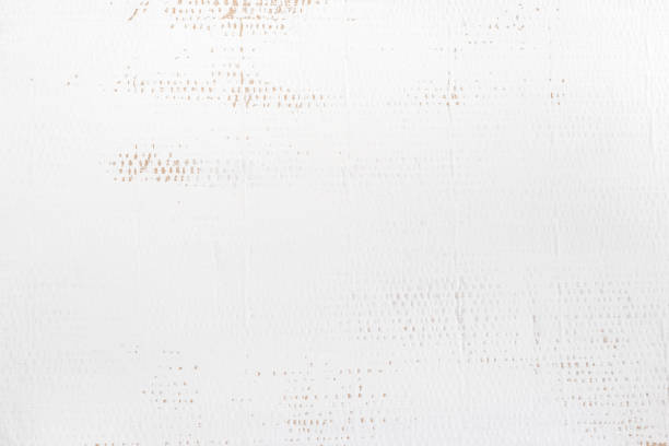 istock White color painting on paper texture art background 683493148