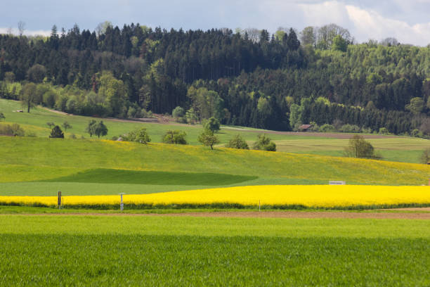 istock landscape in may in south german springtime 683493496