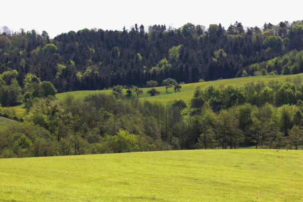 istock landscape in may in south german springtime 683493522
