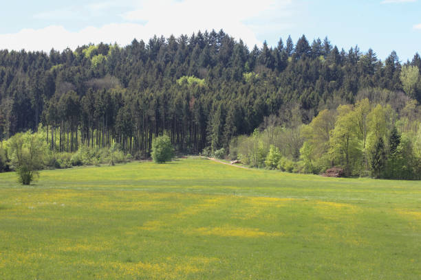 istock landscape in may in south german springtime 683493882
