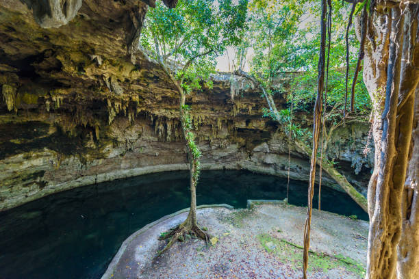 istock Cenote Suytun at Valladolid, Yucatan - Mexico 683499402
