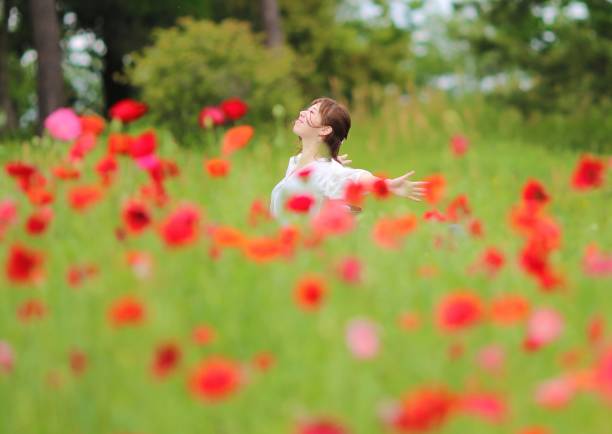 jóvenes disfrutando de flores en el parque - poppy oriental poppy plant spring fotografías e imágenes de stock