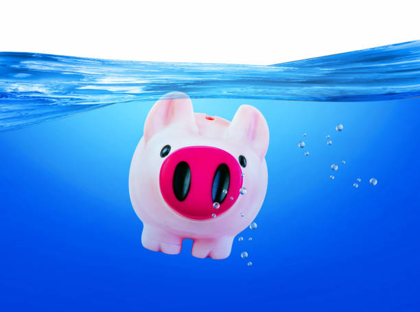 istock Pink Piggy Swimming. 683501594