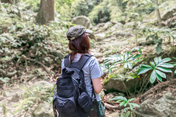 istock Girl with backpack on trekking trip, standing alone in the trail. 683508912