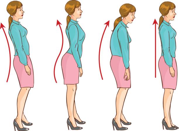 ilustrações de stock, clip art, desenhos animados e ícones de vector illustration of a the correct position of the spine - front stoop