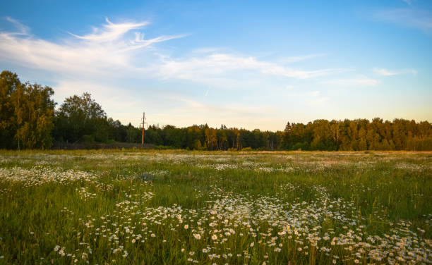 istock Wild nature of Russia 683518440