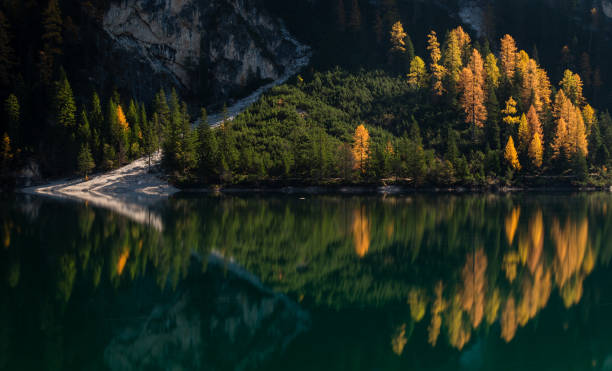 istock Autumn at the Pragser Wildsee, Italy 683527342