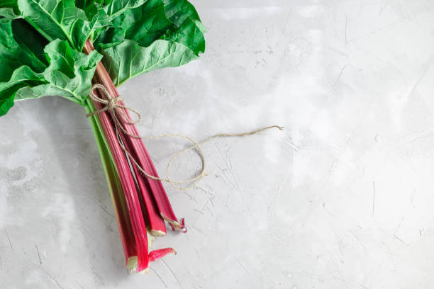 istock Fresh organic rhubarb on grey concrete background 683531062