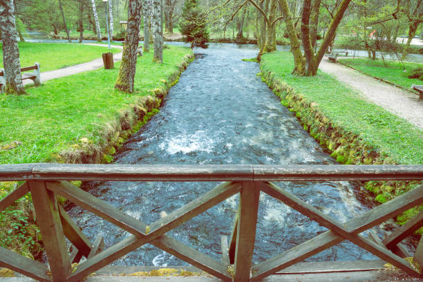 istock Beginning river Bosna at Nature park Vrelo Bosne 3 683533882