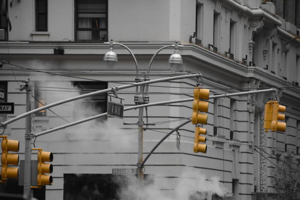 istock traffic light on a New York street 683536194