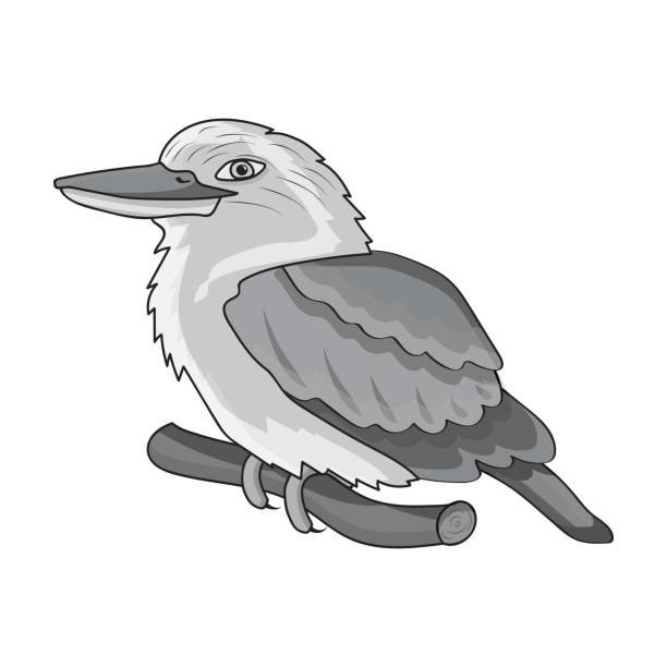 Kookaburra sitting on branch icon in monochrome style isolated on white background. Australia symbol stock vector illustration. Kookaburra sitting on branch icon in monochrome design isolated on white background. Australia symbol stock vector illustration. kookaburra stock illustrations