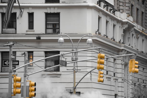 istock traffic light on a New York street 683538778