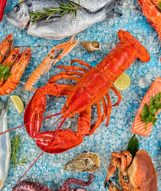 Whole lobster with seafood, crab, mussels, prawns, fish, salmon steak, octopus, oyster and other shells served on crushed ice.