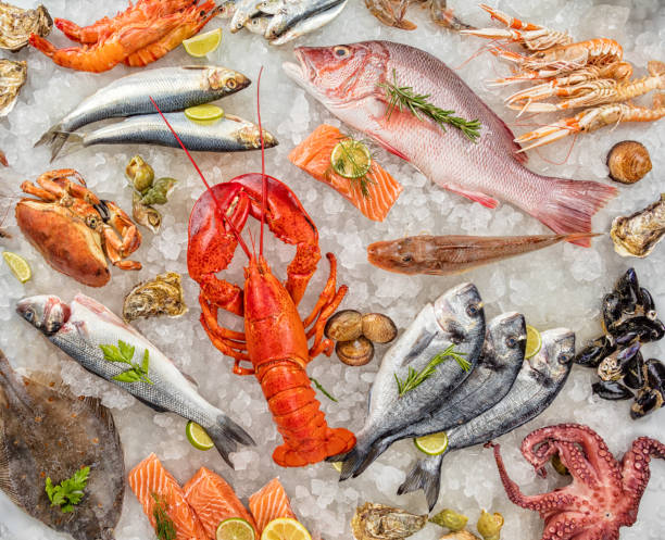 istock Many kind of seafood, served on crushed ice 683544914