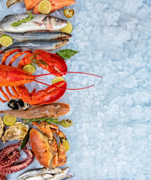 istock Many kind of seafood, served on crushed ice 683545082