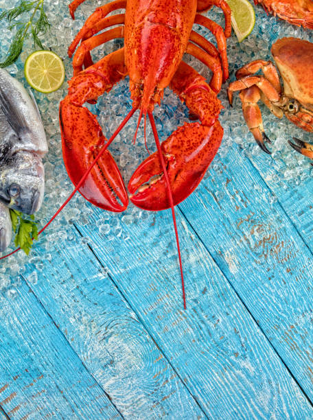 istock Many kind of seafood, served on crushed ice 683545386