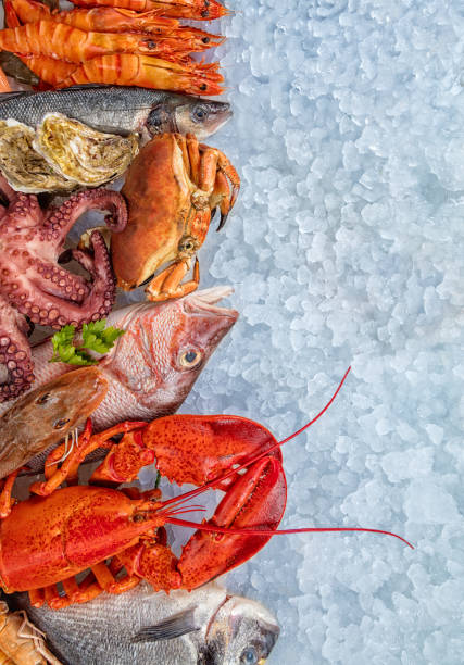 istock Many kind of seafood, served on crushed ice 683546110