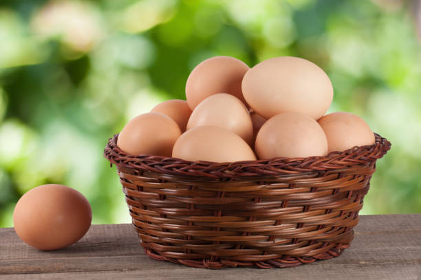istock eggs on a wooden table in a wicker basket with blurred garden background 683549156