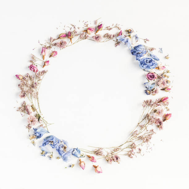 dried plants and flowers in decoration garland