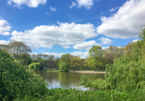 istock Green beautiful park and blue sky in evening 683557284