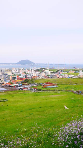 istock Seongsan ilchulbong in Jeju do 683558298