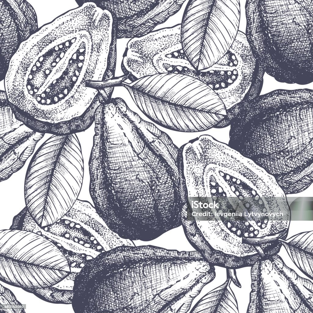 Vector Guava Pattern Stock Illustration - Download Image Now ...