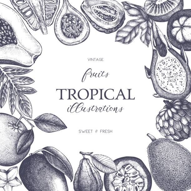 ビンテージのトロピカル フルーツ デザイン - mangosteen fruit tropical fruit backgrounds点のイラスト素材／クリップアート素材／マンガ素材／アイコン素材