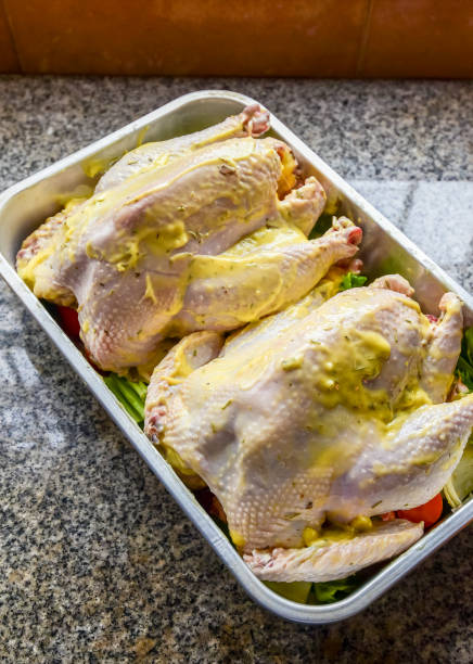 istock Chicken with butter in tray 683568808