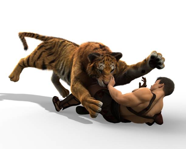 istock 3D Illustration of a Gladiator fighting with a tiger isolated on white background 683571816