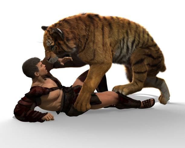 istock 3D Illustration of a Gladiator fighting with a tiger isolated on white background 683572178