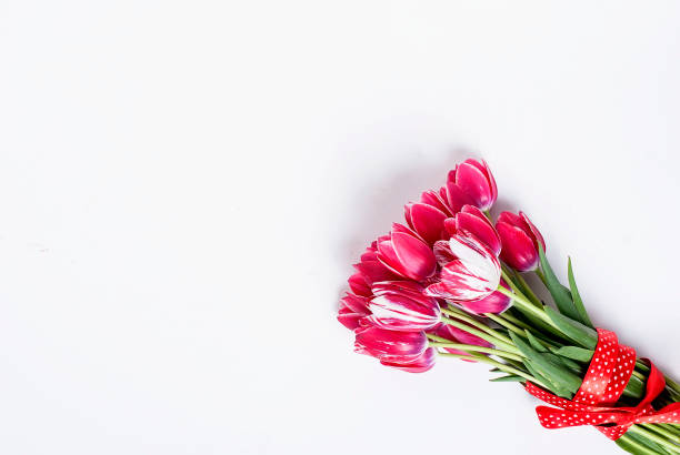 istock Bouquet of pink tulips 683583144