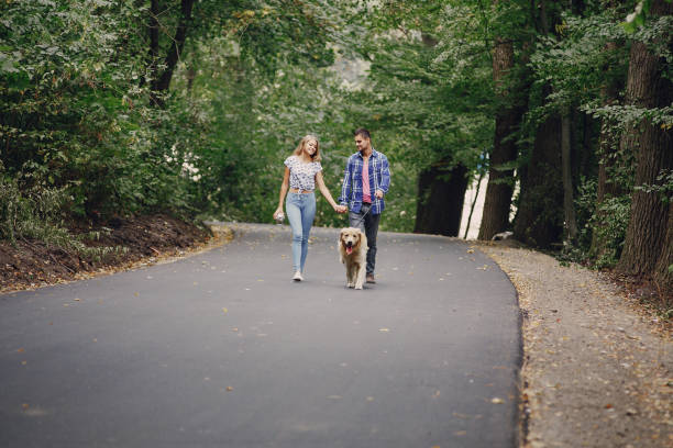 istock couple walking outdoors with her dog 683587344