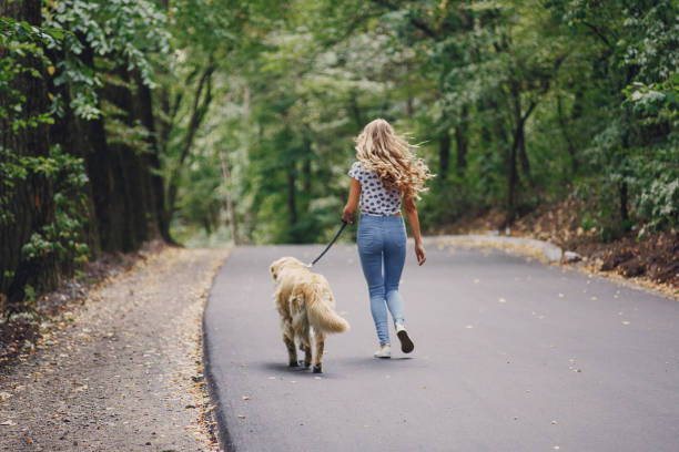 istock couple walking outdoors with her dog 683591018