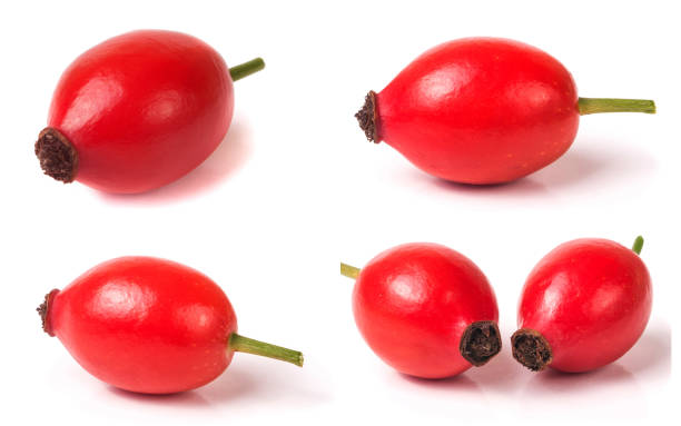 istock rose hip berry with leaf isolated on white background. Set or collection 683604408