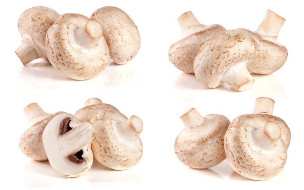 istock Fresh champignon mushrooms isolated on white background. Set or collection 683604998
