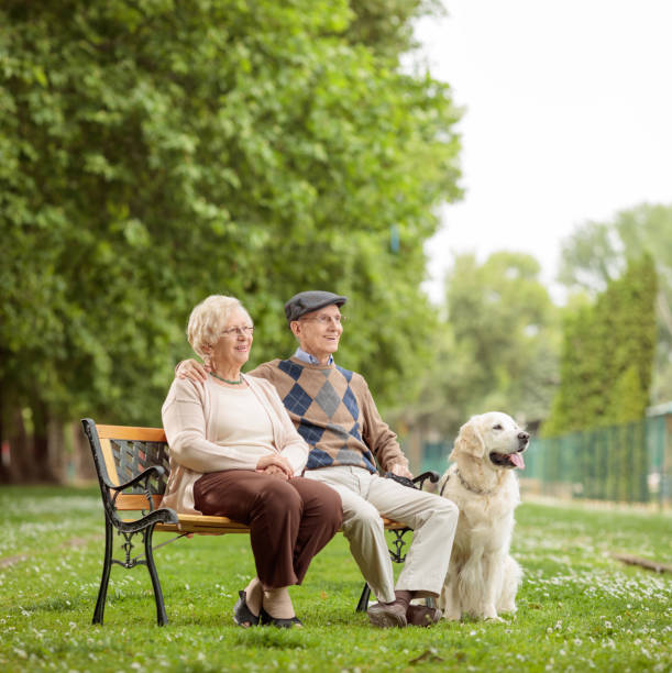 istock Elderly couple with a dog on a bench in a park 683612514