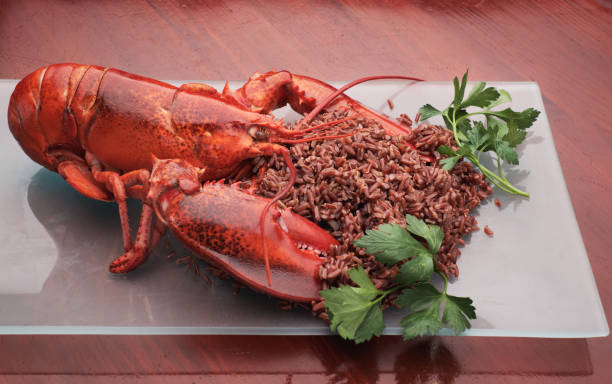 istock Lobster and red rice, elegant plate 683615996