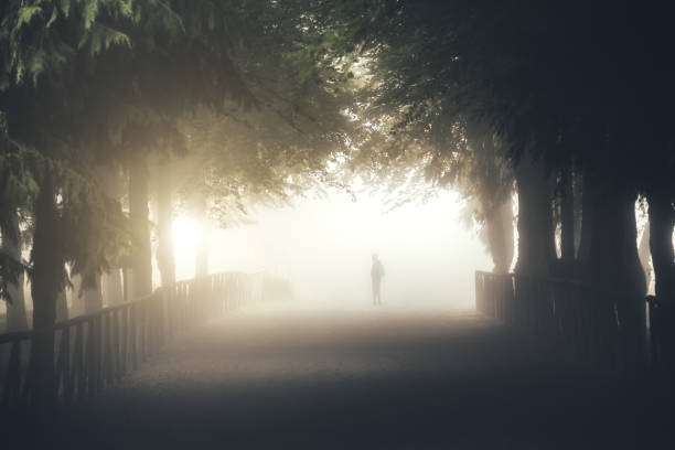 Foggy country road on Madeira Island with silhouette of a woman walking on it.