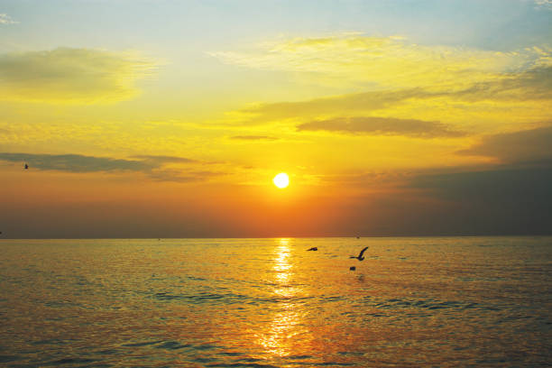 istock Beautiful sunset above the sea 683656138