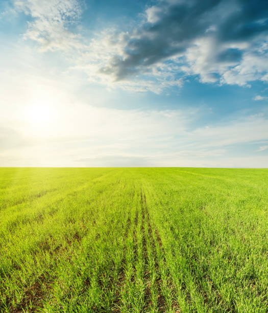 istock green agricultural field and sunset in clouds 683656220