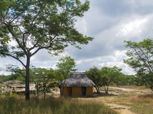 tradizionale capanna africana nel mezzo cespuglio delle midlands dello zimbabwe - hut africa grass hut mud hut foto e immagini stock
