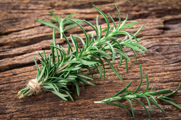 istock Fresh green Rosemary bound on a wooden board 683660526
