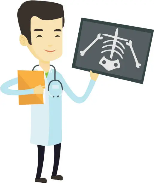 Vector illustration of Doctor examining radiograph vector illustration