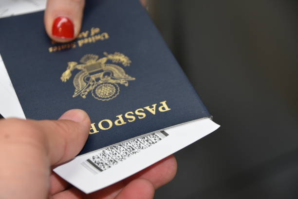 istock Border control at the airport 683670730