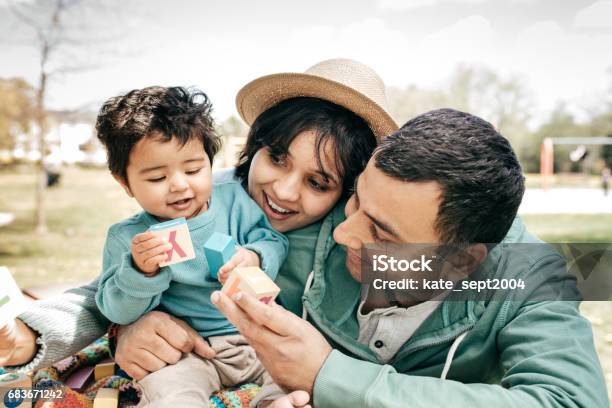 Health Insurance For Your Family Stock Photo - Download Image Now - Family, Indian Ethnicity, Baby - Human Age